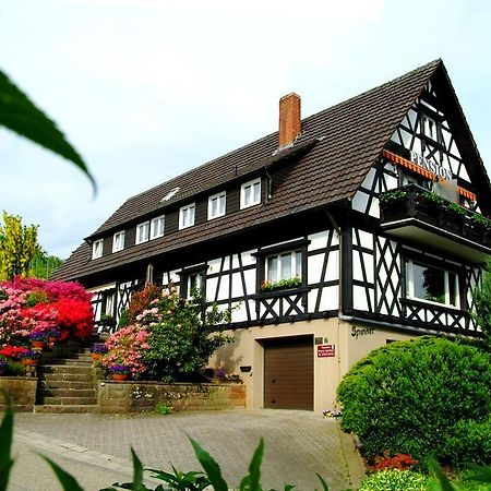 Pension Am Weinberg Sasbachwalden Εξωτερικό φωτογραφία